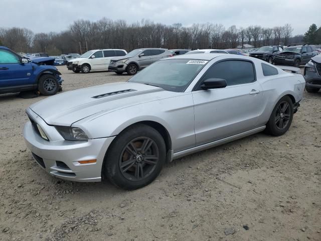 2013 Ford Mustang