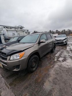 Salvage cars for sale from Copart Ontario Auction, ON: 2011 Toyota Rav4