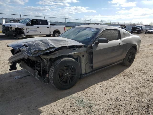 2014 Ford Mustang