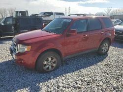 2010 Ford Escape Limited for sale in Barberton, OH