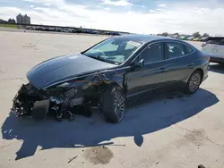 Salvage cars for sale at Greenwell Springs, LA auction: 2023 Hyundai Sonata Hybrid