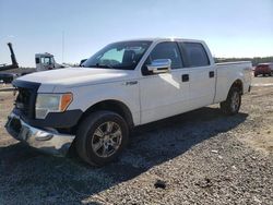 Salvage cars for sale at Lumberton, NC auction: 2014 Ford F150 Supercrew