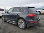 2013 Audi Q5 Premium Hybrid