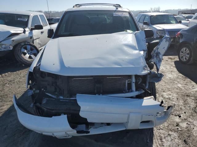 2007 Chevrolet Trailblazer LS