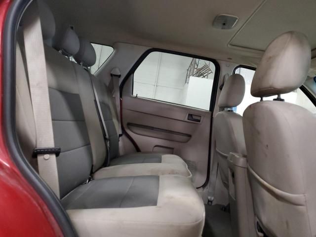 2008 Ford Escape XLT