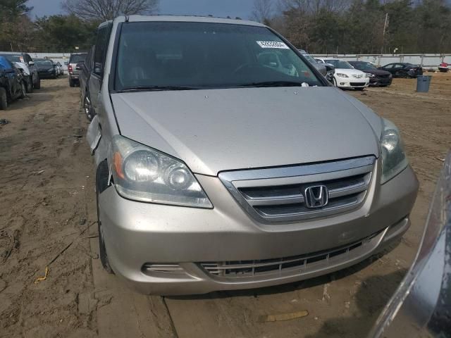 2005 Honda Odyssey EXL