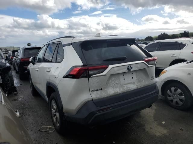 2019 Toyota Rav4 XLE