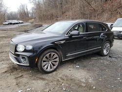 Salvage cars for sale at Marlboro, NY auction: 2023 Bentley Bentayga