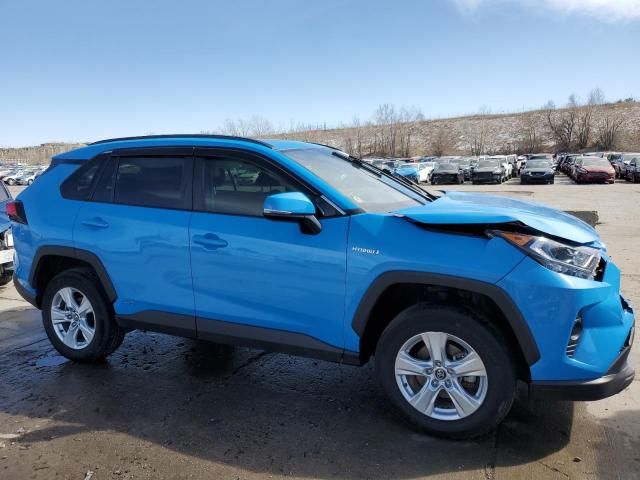 2020 Toyota Rav4 XLE