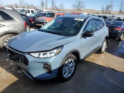 Salvage cars for sale at Bridgeton, MO auction: 2023 Ford Escape Active