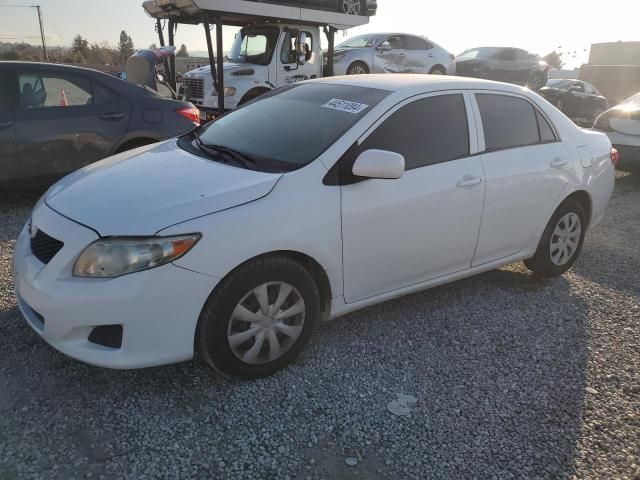 2010 Toyota Corolla Base