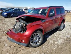 Dodge salvage cars for sale: 2008 Dodge Nitro SLT