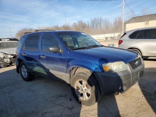 2007 Ford Escape XLT