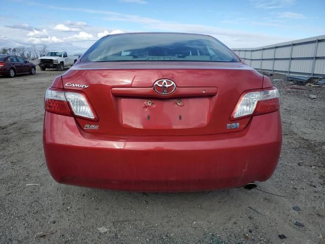 2009 Toyota Camry Hybrid