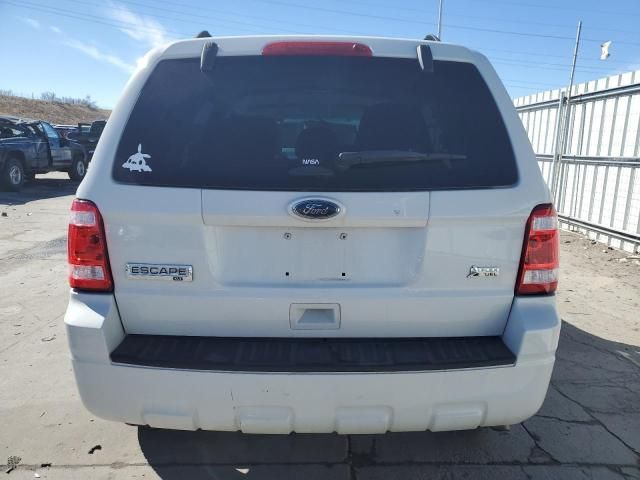 2011 Ford Escape XLT