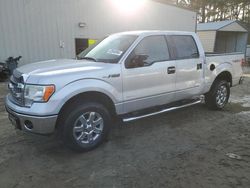 2013 Ford F150 Supercrew en venta en Seaford, DE