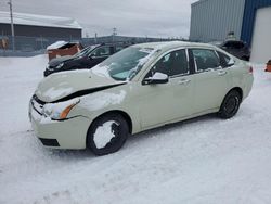 Salvage cars for sale from Copart Elmsdale, NS: 2010 Ford Focus SE