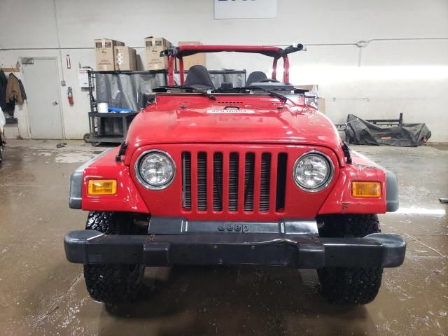 2002 Jeep Wrangler / TJ X