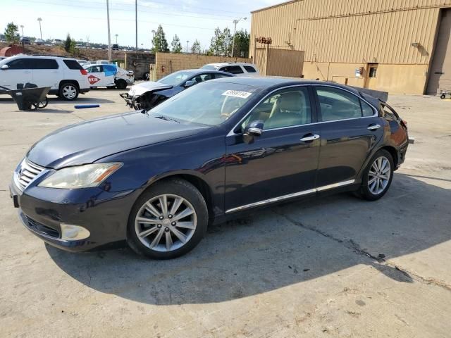 2010 Lexus ES 350