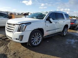 Salvage cars for sale from Copart San Diego, CA: 2020 Cadillac Escalade Luxury