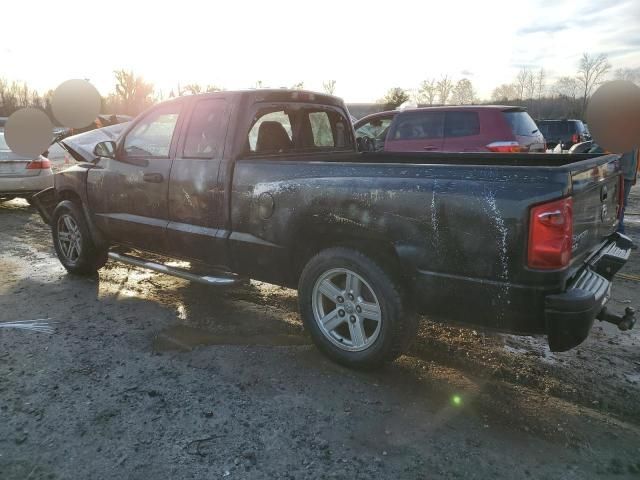 2007 Dodge Dakota SLT