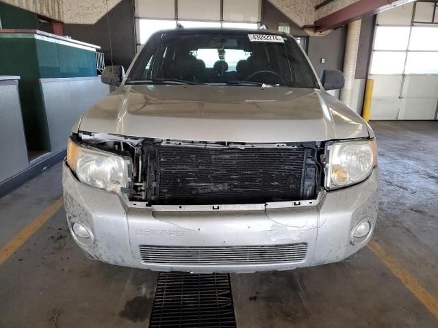 2008 Ford Escape XLT