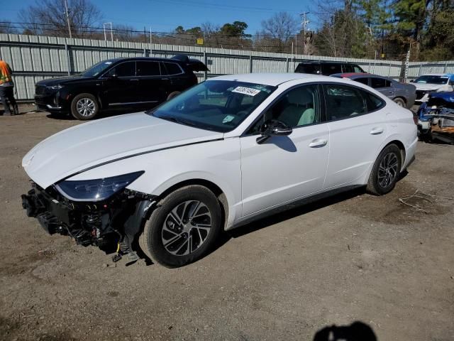 2023 Hyundai Sonata Hybrid