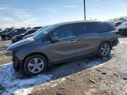 Salvage cars for sale from Copart Indianapolis, IN: 2019 Honda Odyssey EXL