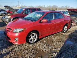 Toyota Corolla salvage cars for sale: 2011 Toyota Corolla Base