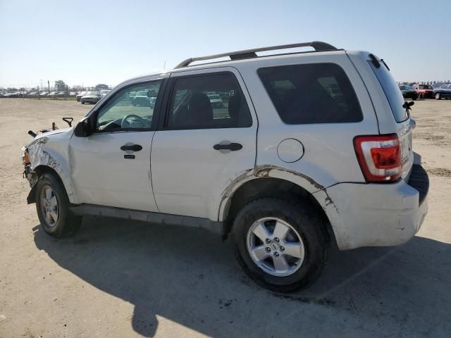 2009 Ford Escape XLT