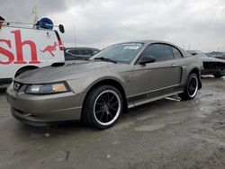 Ford Mustang salvage cars for sale: 2002 Ford Mustang GT