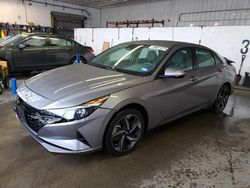 Salvage cars for sale at Candia, NH auction: 2023 Hyundai Elantra SEL