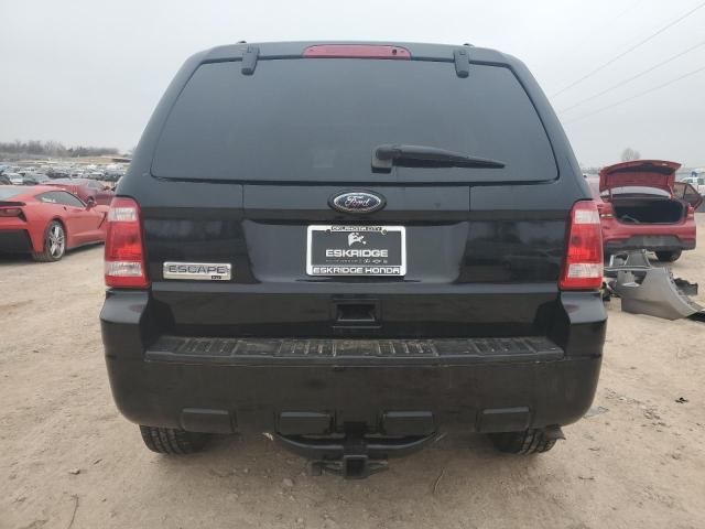 2010 Ford Escape XLT