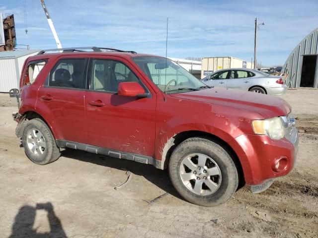 2011 Ford Escape Limited