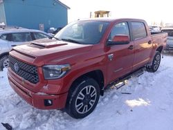 Salvage cars for sale at Anchorage, AK auction: 2019 Toyota Tundra Crewmax SR5