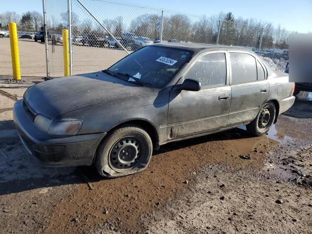 1995 Toyota Corolla