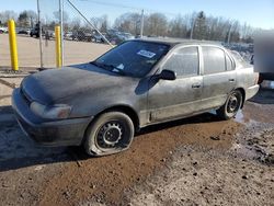 Salvage cars for sale from Copart Chalfont, PA: 1995 Toyota Corolla