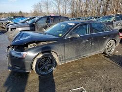 Audi A4 salvage cars for sale: 2013 Audi A4 Premium Plus