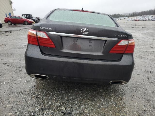 2010 Lexus LS 460