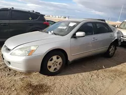 Salvage cars for sale at Albuquerque, NM auction: 2003 Honda Accord LX