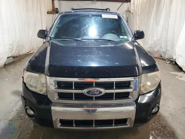 2010 Ford Escape Limited