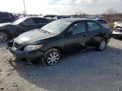 2009 Toyota Corolla Base for sale in Lawrenceburg, KY