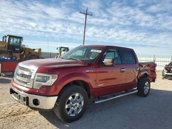 Salvage cars for sale at Andrews, TX auction: 2014 Ford F150 Supercrew