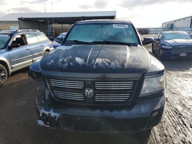 2010 Dodge Dakota SXT