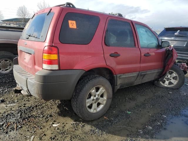 2005 Ford Escape XLT