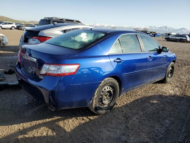 2010 Toyota Camry Hybrid