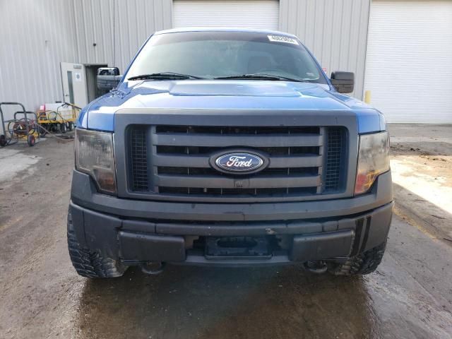 2010 Ford F150