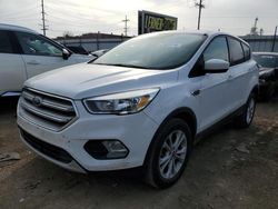 Salvage cars for sale at Chicago Heights, IL auction: 2017 Ford Escape SE