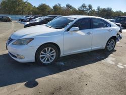 Salvage cars for sale from Copart Brookhaven, NY: 2010 Lexus ES 350