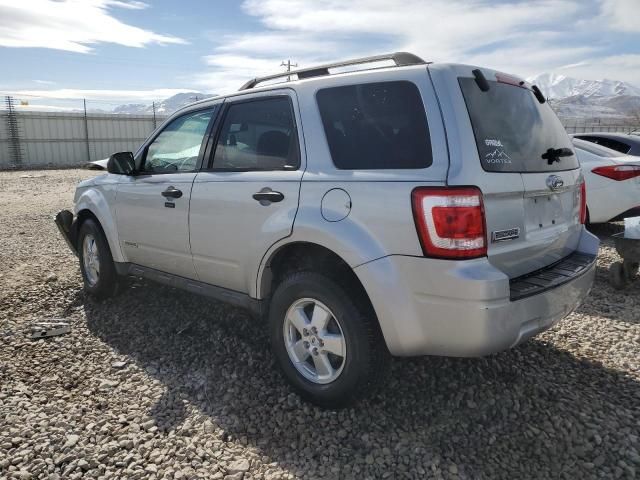 2008 Ford Escape XLT